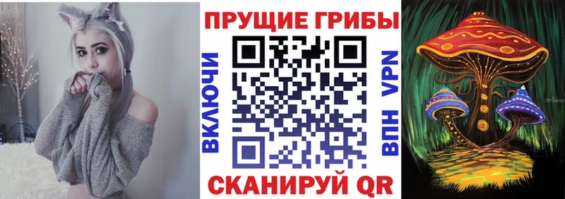 Галлюциногенные грибы Magic Shrooms  купить   Отрадное 
